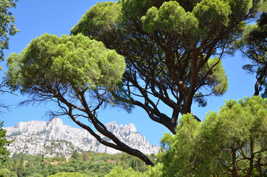 Similar image 778457