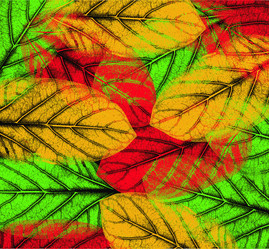 Similar image 778521