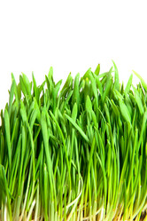 Similar image 778599