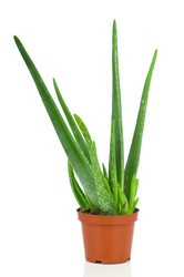 Similar image 778600