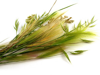 Similar image 778608