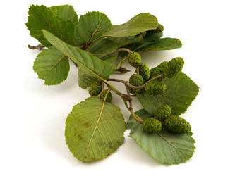 Similar image 778609