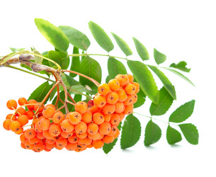 Similar image 778623