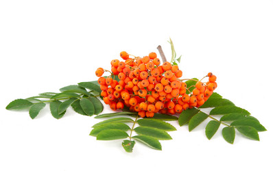 Similar image 778624