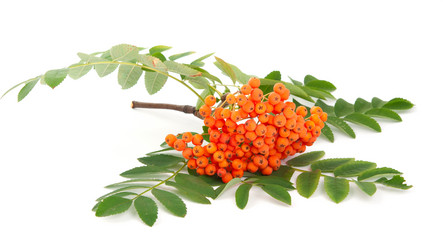 Similar image 778625