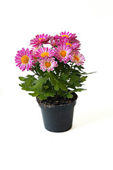 Similar image 778629