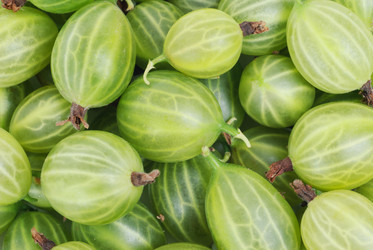 Similar image 778655