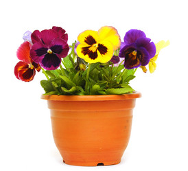 Similar image 778699