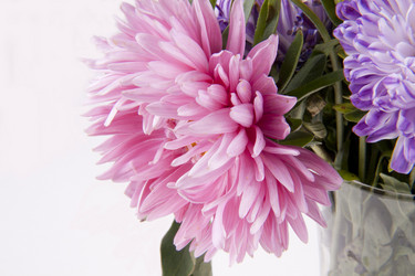 Similar image 778701