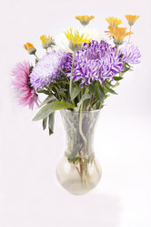 Similar image 778703