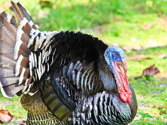 Similar image 778704