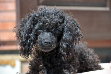 Similar image 778745