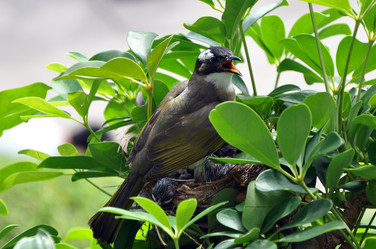 Similar image 778752