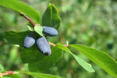 Similar image 778776