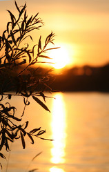 Similar image 778782