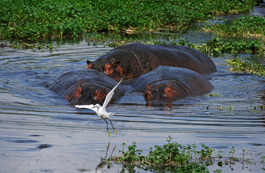 Similar image 778783