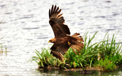 Similar image 778784