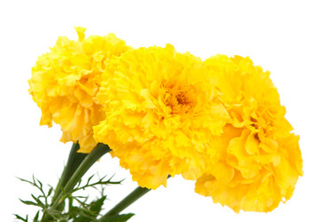 Similar image 778906