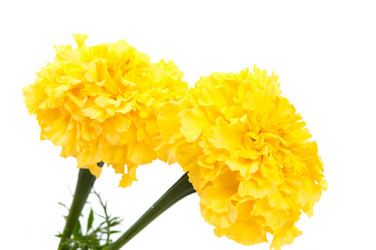 Similar image 778907