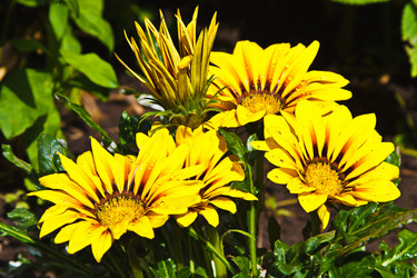 Similar image 778911