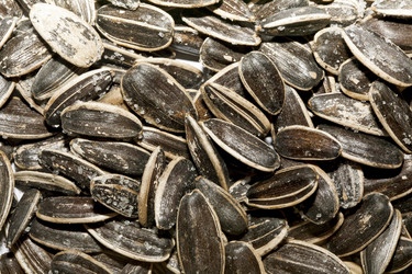 Similar image 778937