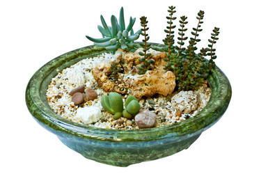 Similar image 778962