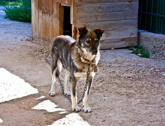 Similar image 778977