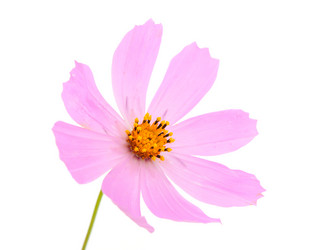 Similar image 779023