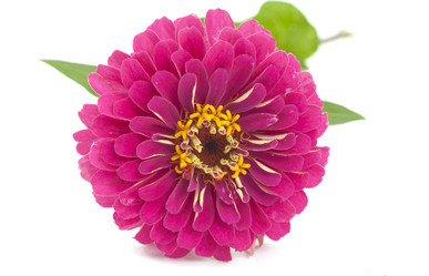 Similar image 779027