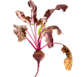 Similar image 779038