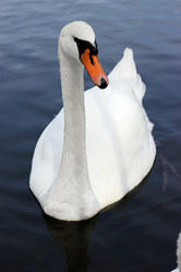 Similar image 779093