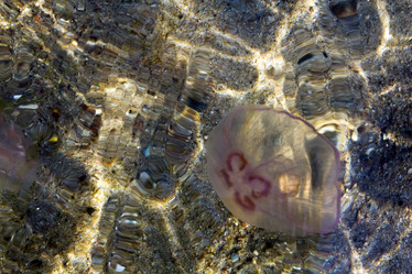 Similar image 779104