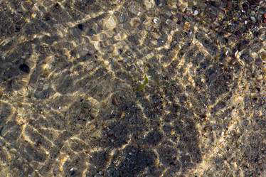 Similar image 779106