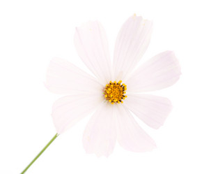 Similar image 779123