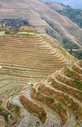 Similar image 779125