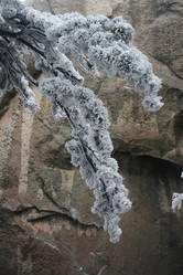 Similar image 779170