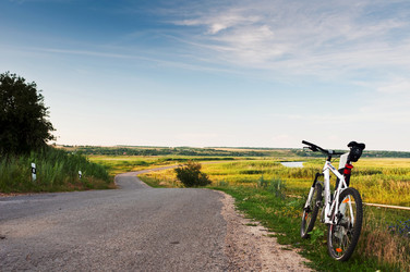 Similar image 779207