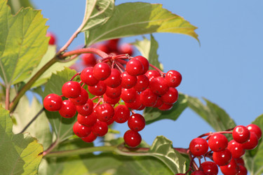 Similar image 779245