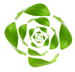 Similar image 779285