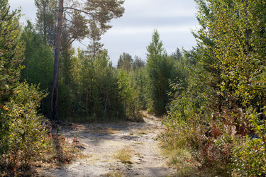 Similar image 779332