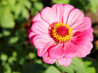 Similar image 779341