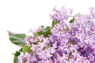 Similar image 779347