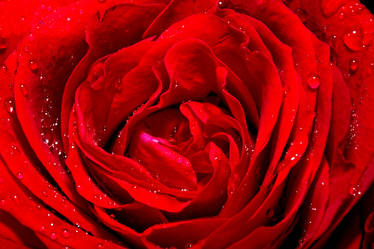 Similar image 779348