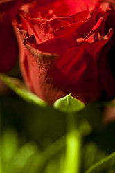 Similar image 779351