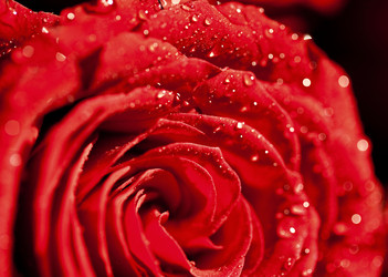 Similar image 779352