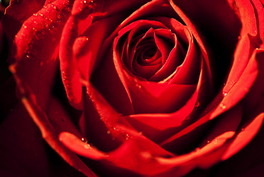 Similar image 779353