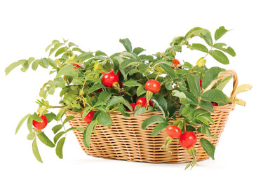 Similar image 779356