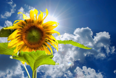 Similar image 779374