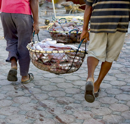 Similar image 779396