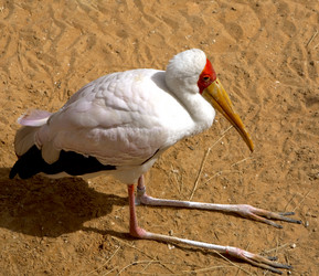 Similar image 779398